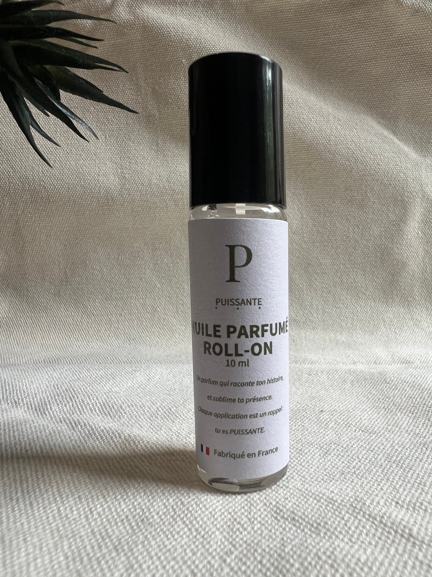 Rituel Audacieuse - Routine peau grasse premium PUISSANTE 🌿