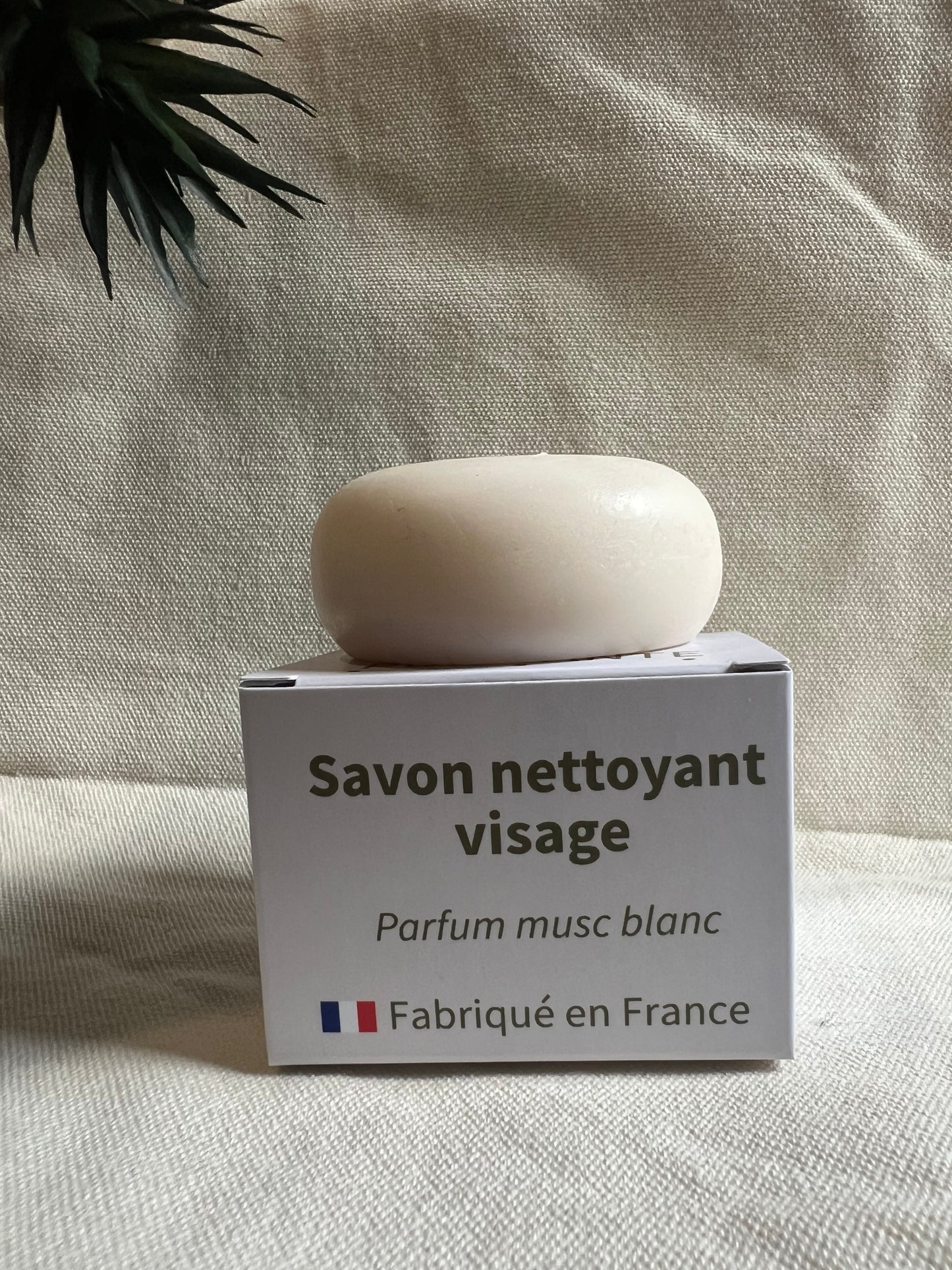 Rituel Audacieuse - Routine peau grasse premium PUISSANTE 🌿